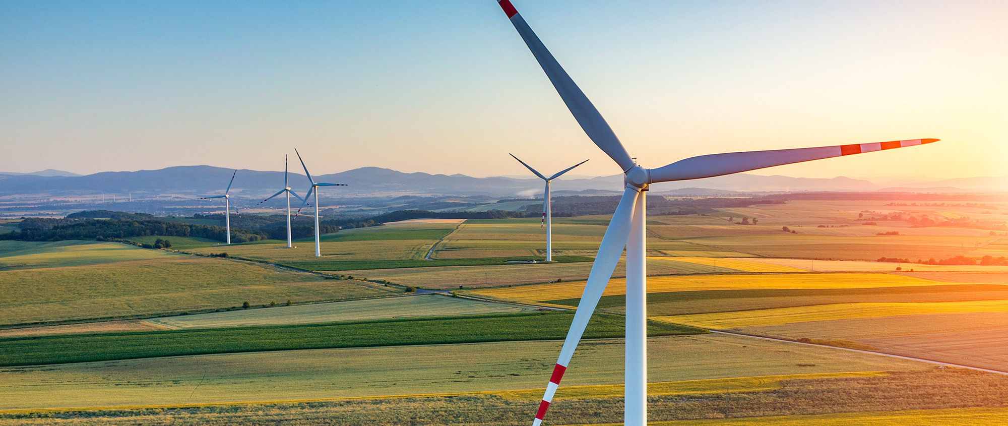 Europe visual data 4